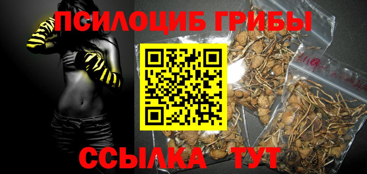 Псилоцибиновые грибы ЛСД  Псилоцибиновые грибы ЛСД  где купить наркоту  Вход с VPN  Ленинск-Кузнецкий 