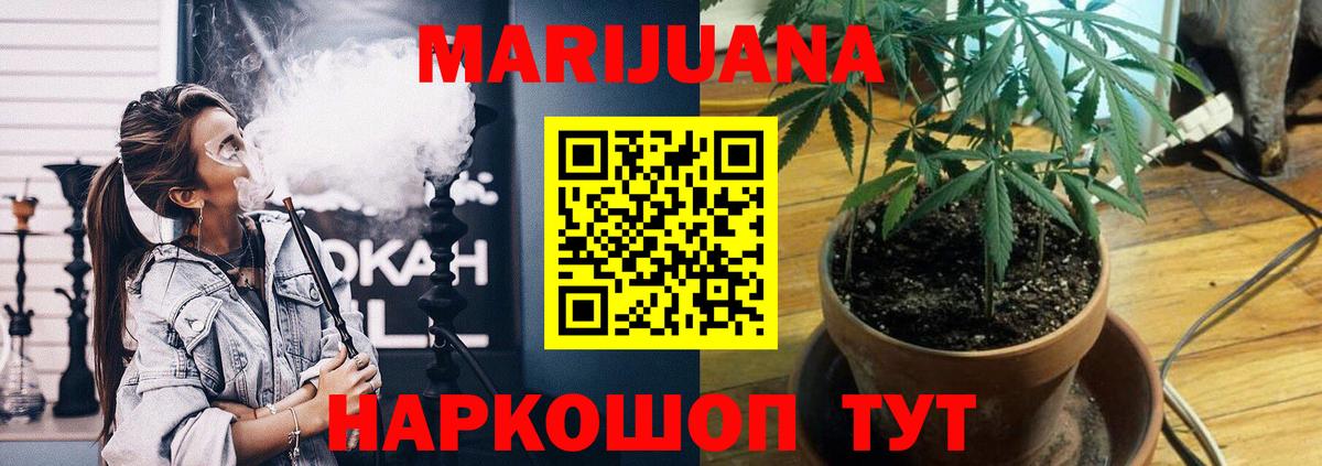 Канабис гибрид  Шишки марихуана план  Вход с VPN  Бошки Шишки THC 21%  Ленинск-Кузнецкий  Бошки Шишки гибрид 